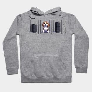 Beagle BoxFit: The Ultimate CrossFit Adventure Hoodie